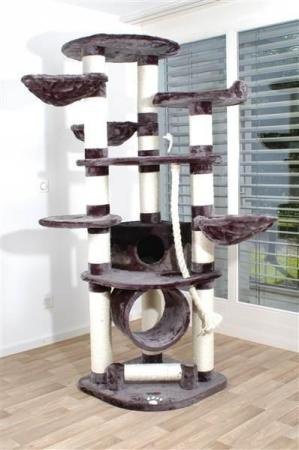 arbre a chat grand et pas cher